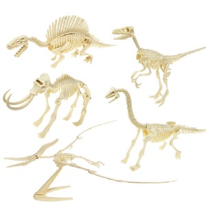 3D입체형 공룡뼈 조립 (2종 택1)