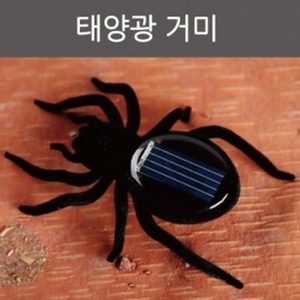 태양광 거미 R