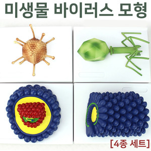 미생물 바이러스 모형(4종 세트)R